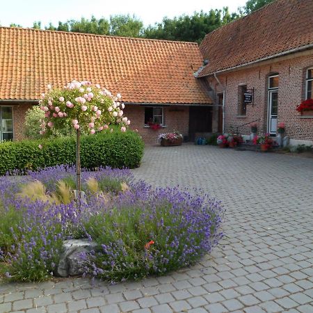 Gîte de la Noyelle à Sainghin en Mélantois Extérieur photo