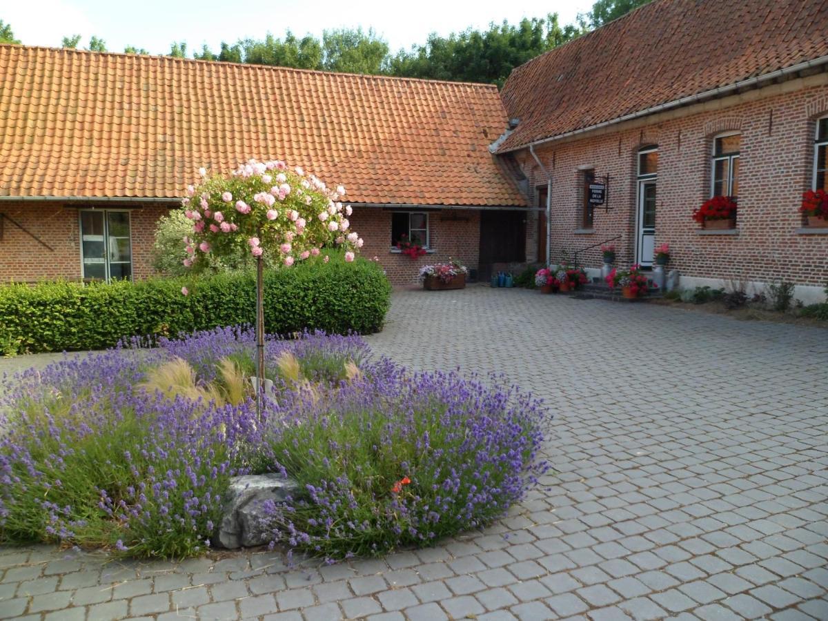 Gîte de la Noyelle à Sainghin en Mélantois Extérieur photo